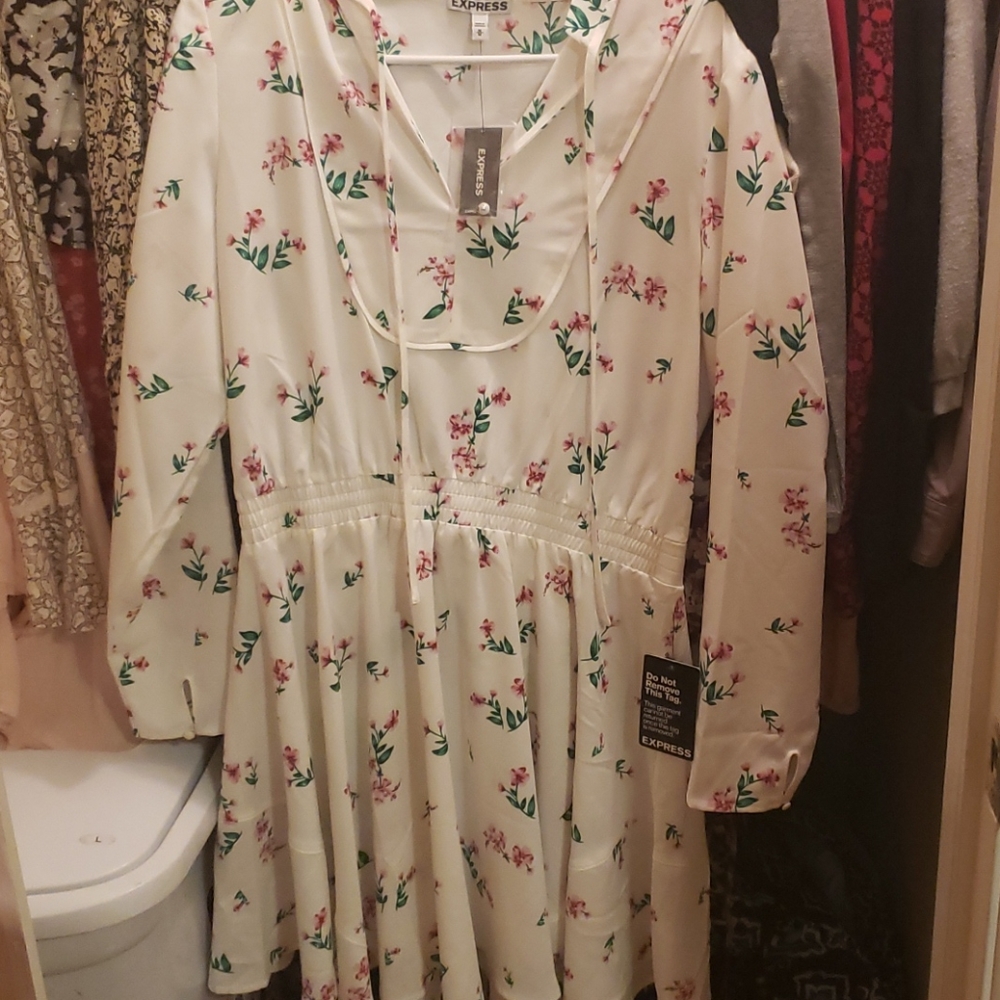 Express Medium floral smocked dress